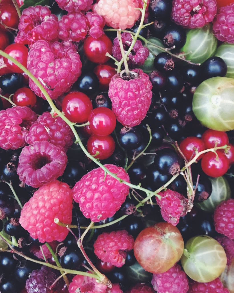 14.august 2025, Torsdagskursus; Bær