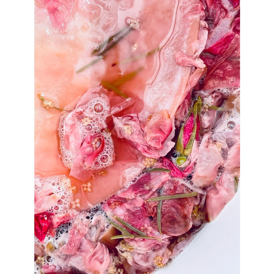 Kombucha sæt inkl. SCOBY og blomsterte