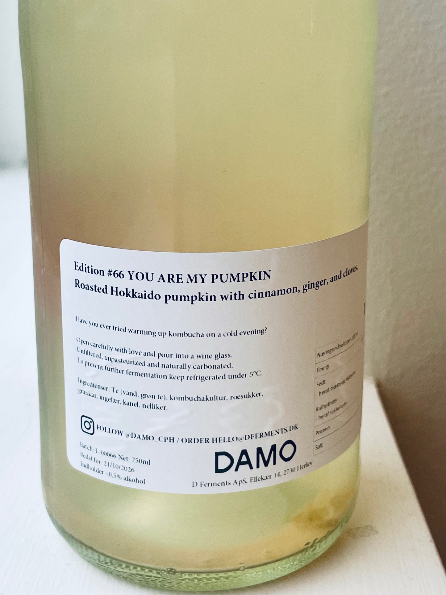 Kombucha #66 YOU ARE MY PUMKIN