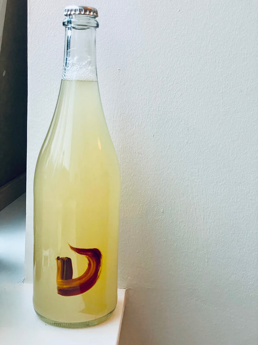 Kombucha #74 THE SUMMUER LONGING (sencha, hyldeblomst og thaibasilikum)