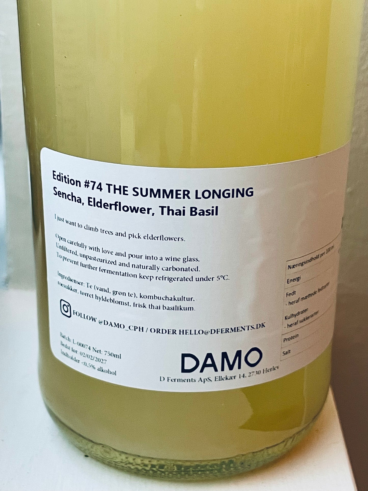 Kombucha #74 THE SUMMUER LONGING (sencha, hyldeblomst og thaibasilikum)