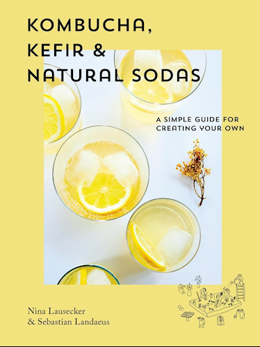 Kombucha, kefir & natural sodas - a simpel guide for creating your own - Af Nina Lausecker og Sebastian Landaeus