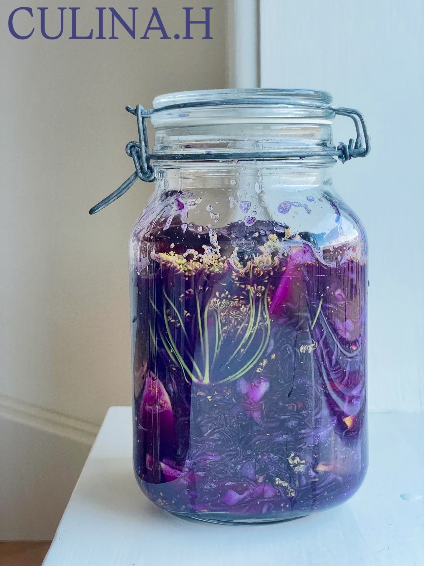 January 29th, 2026 – Thursday Workshop Fermentation for Beginners – Wild & Culture (English)