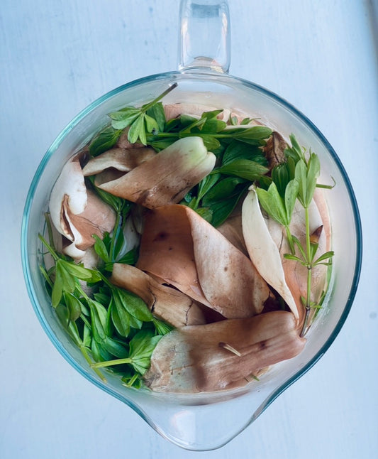 20.november, Åben Torsdag - Opfølgning på kombucha, kraut og kimchi - hvordan er det gået?