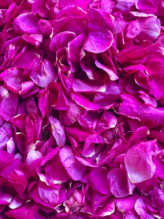 4.juni  2026 Torsdagskursus:  Kombucha på urter og sensommerblomster