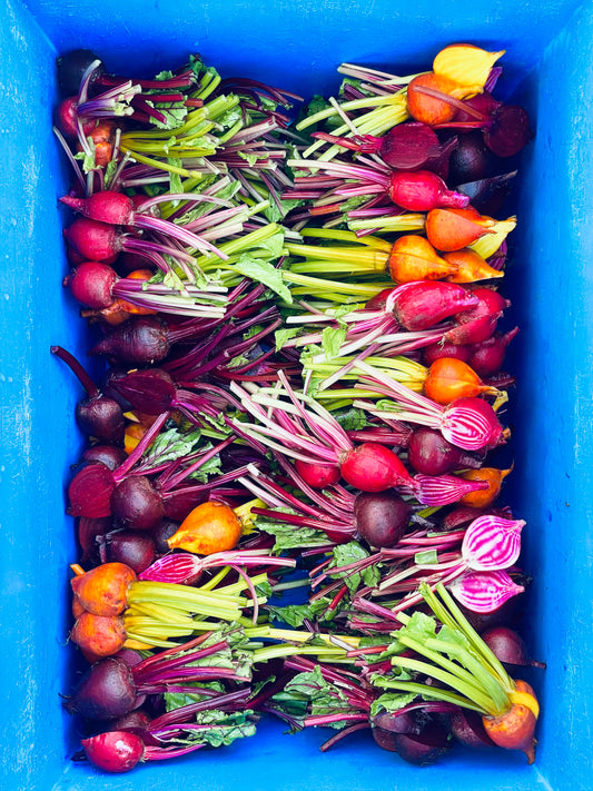 Monday, March 2nd 2026 Course: Seasonal Danish Produce for Professional Kitchens (English)