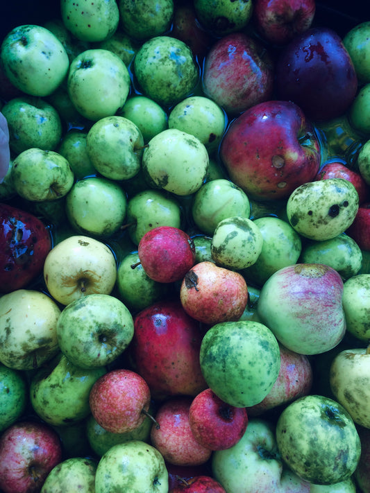 Torsdag d.4.december 2025 - Dansk ren cider - Introduktion og smagning med Jens Christian Christensen